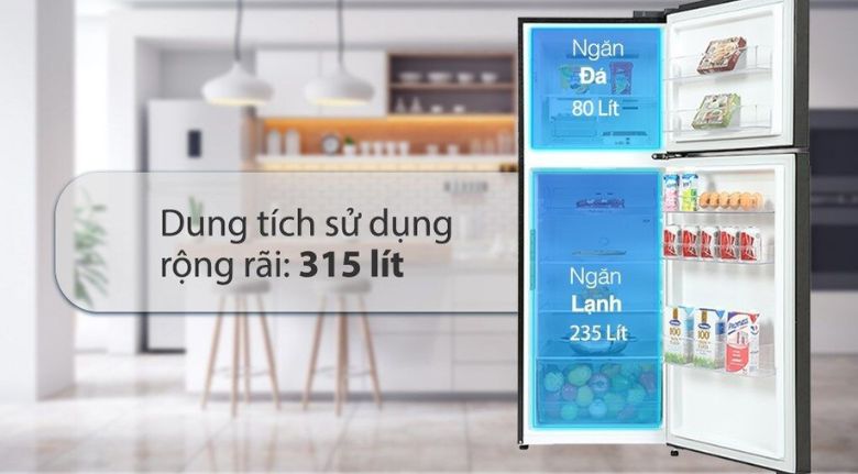 Dung tích sử dụng rộng rãi - Tủ lạnh LG Inverter 315 lít LTB31BLM đựng đồ