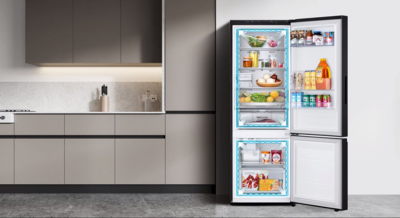 Tủ lạnh LG LBB33BLGA 335 lít 