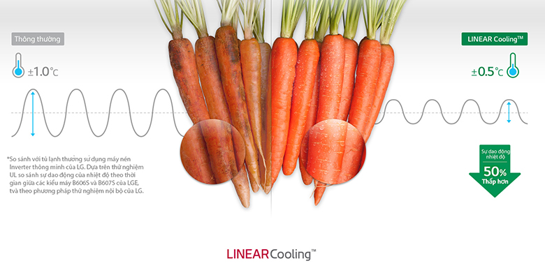 Tủ lạnh LG GN-L422GB