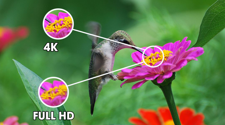 Độ phân giải 4K - Smart Tivi OLED LG 4K 65 inch 65GXPTA