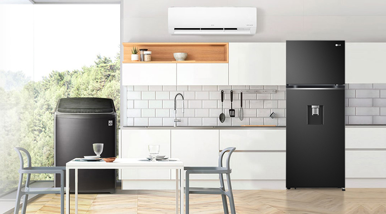 Tủ Lạnh LG Inverter  GV-D262BL