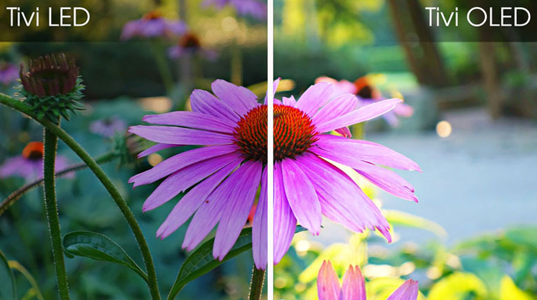 Màn hình OLED - Smart Tivi OLED LG 4K 77 inch 77CXPTA