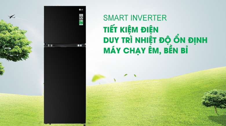 Tủ lạnh LG Inverter 315 Lít GN-M312BL tiết kiệm điện
