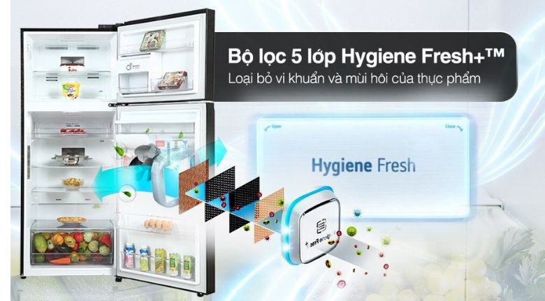 Bộ lọc kháng khuẩn và khử mùi - Tủ lạnh LG Inverter 374 lít LTD37BLM