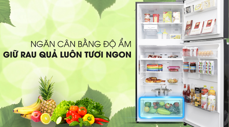 Tủ lạnh LG GN-L422GB ngăn cân bằng độ ẩm