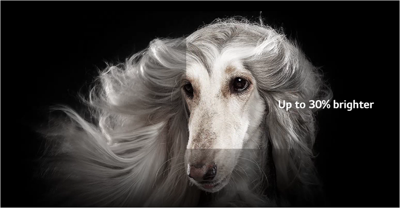 Nâng cao độ sáng màn hình - Smart Tivi LG OLED 4K 97 inch 97G2PSA